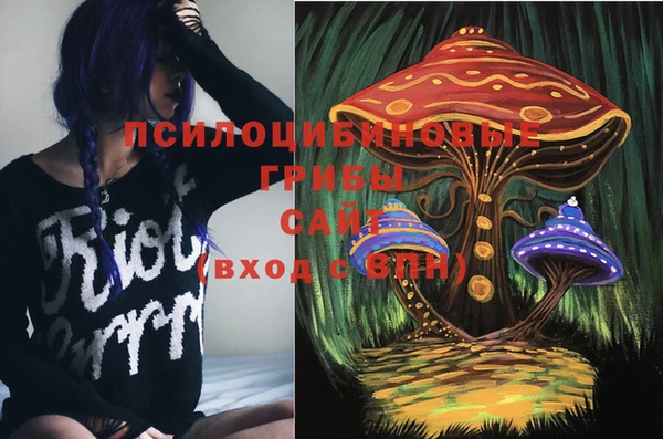 PSILOCYBIN Армянск