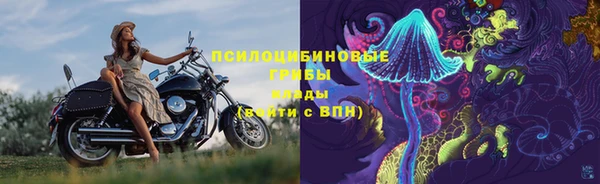 PSILOCYBIN Армянск