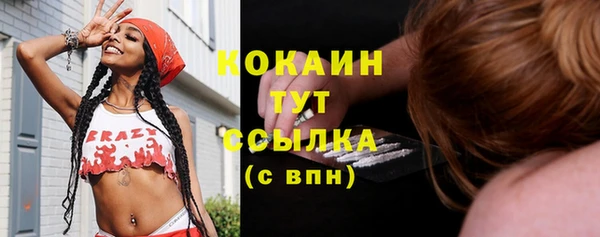 сатива Зеленокумск